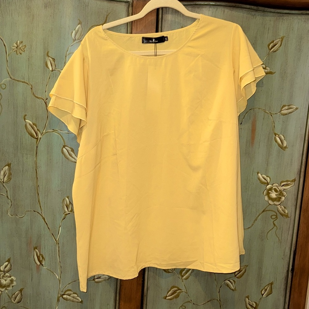 NWT women’s blouse size 2X